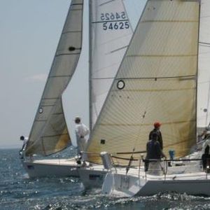 Meet your Posher, Louise